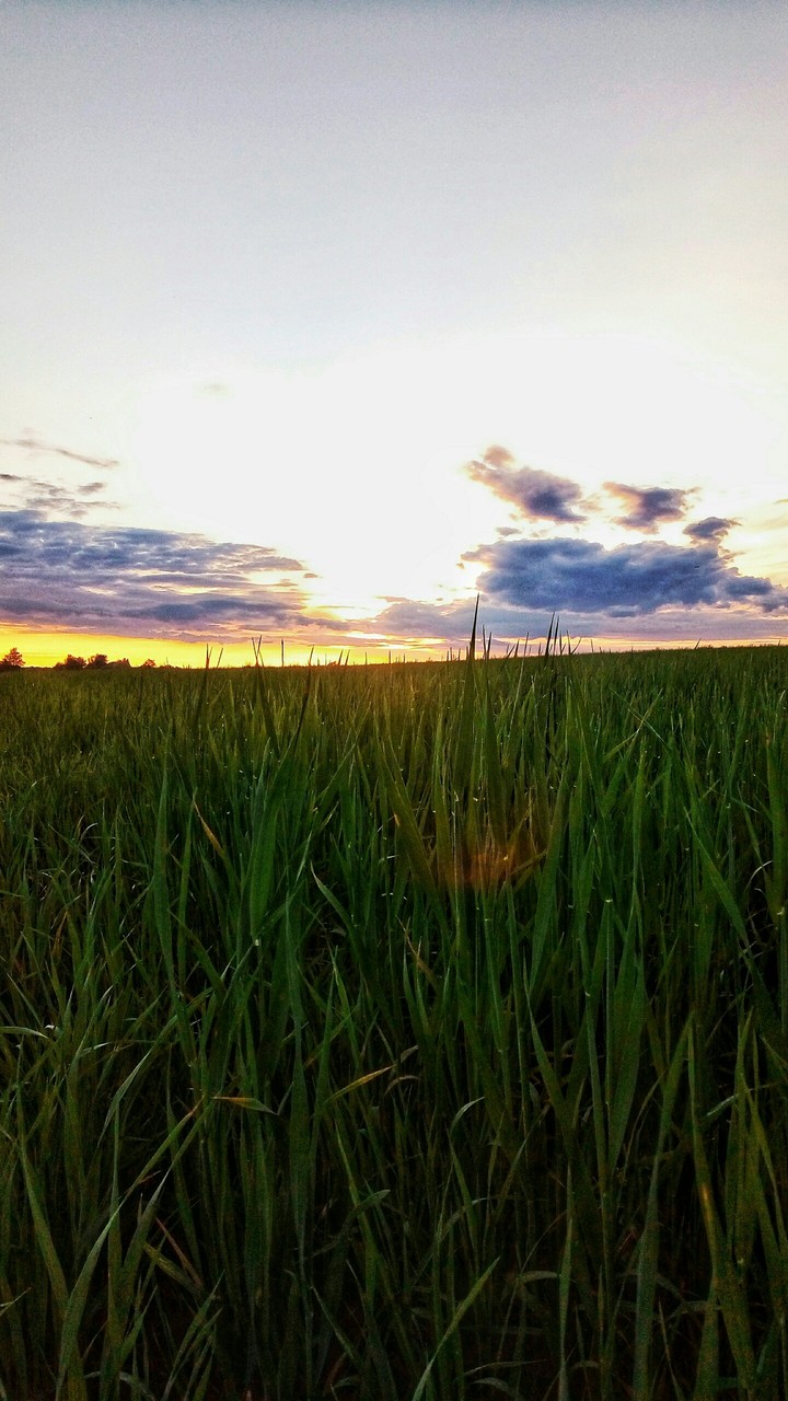 Летний закат
