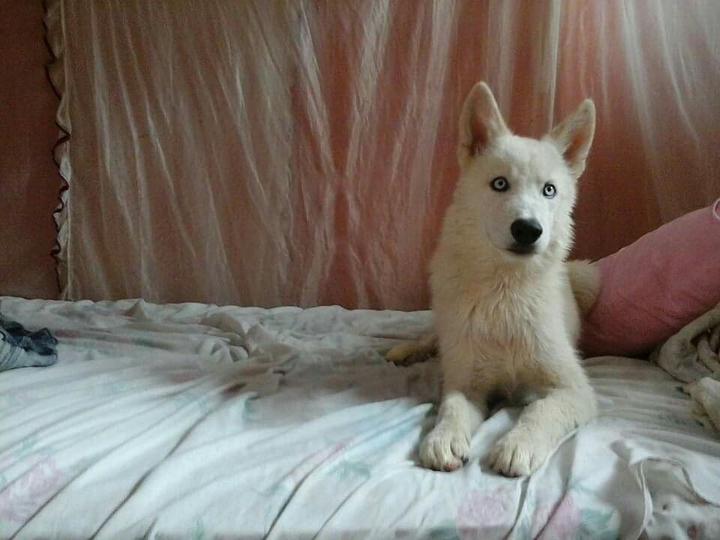 Max