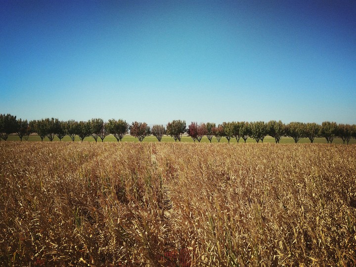 Beautiful autumn