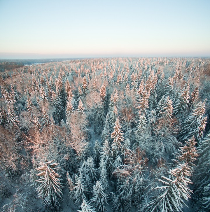Winter