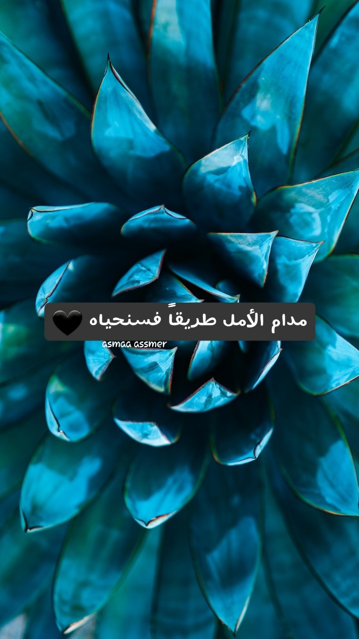 لا حياة دون أمل