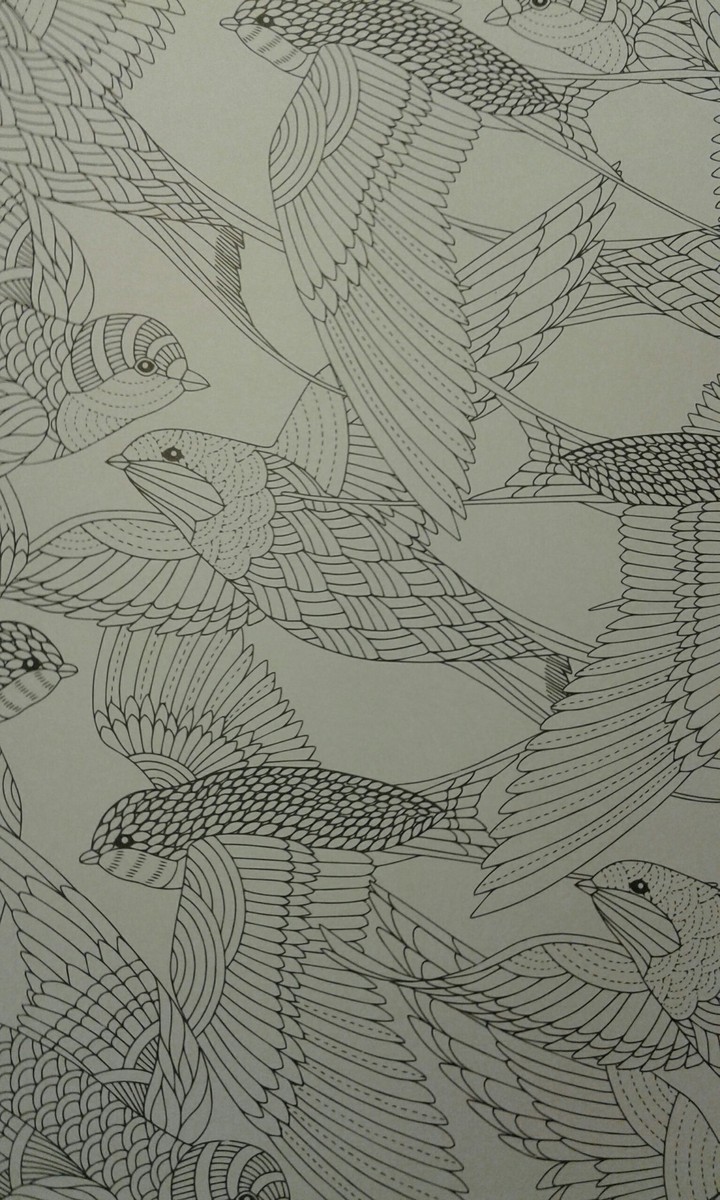 Birds