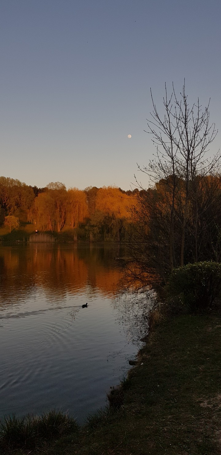 lake