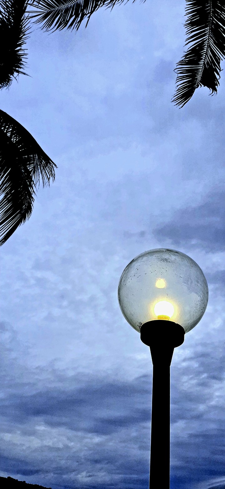 The night