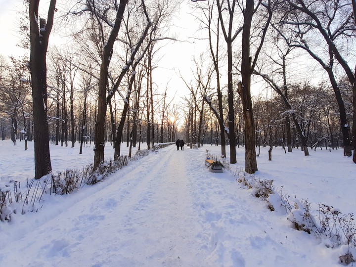 Winter