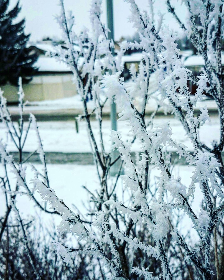 "i'll be cold as ice, i promise."