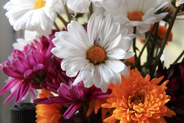 white an orange