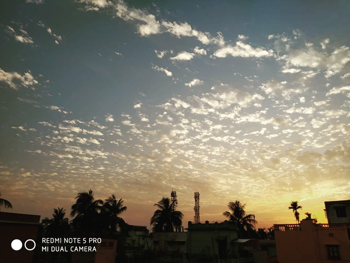 weather
