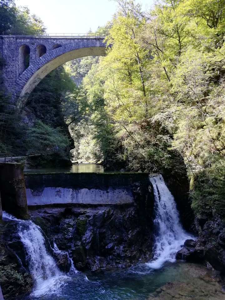 in the nature