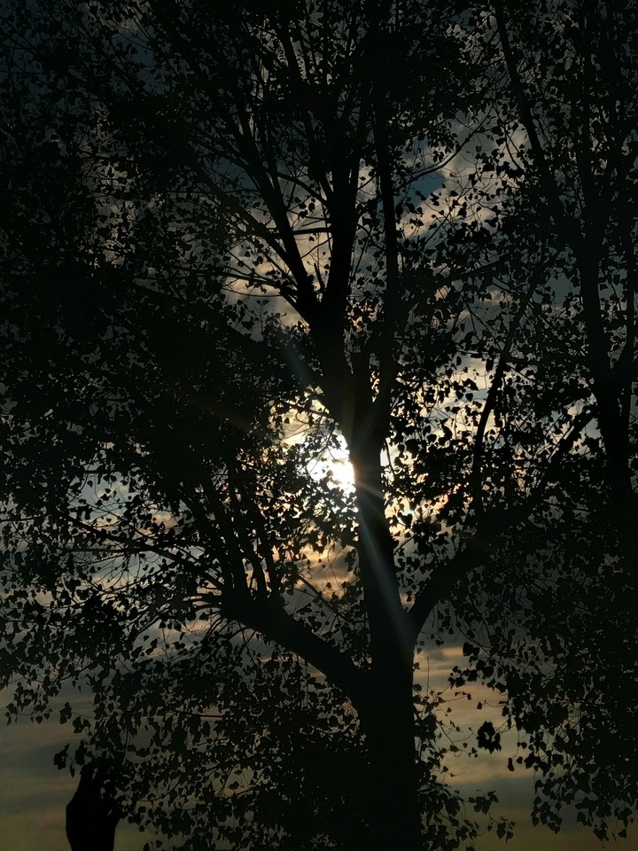 imprisoned sun