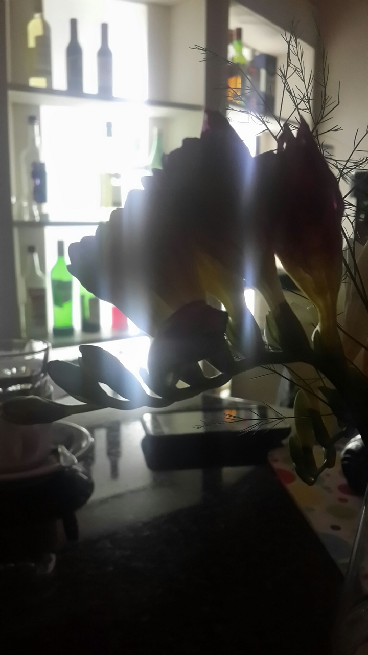 flores