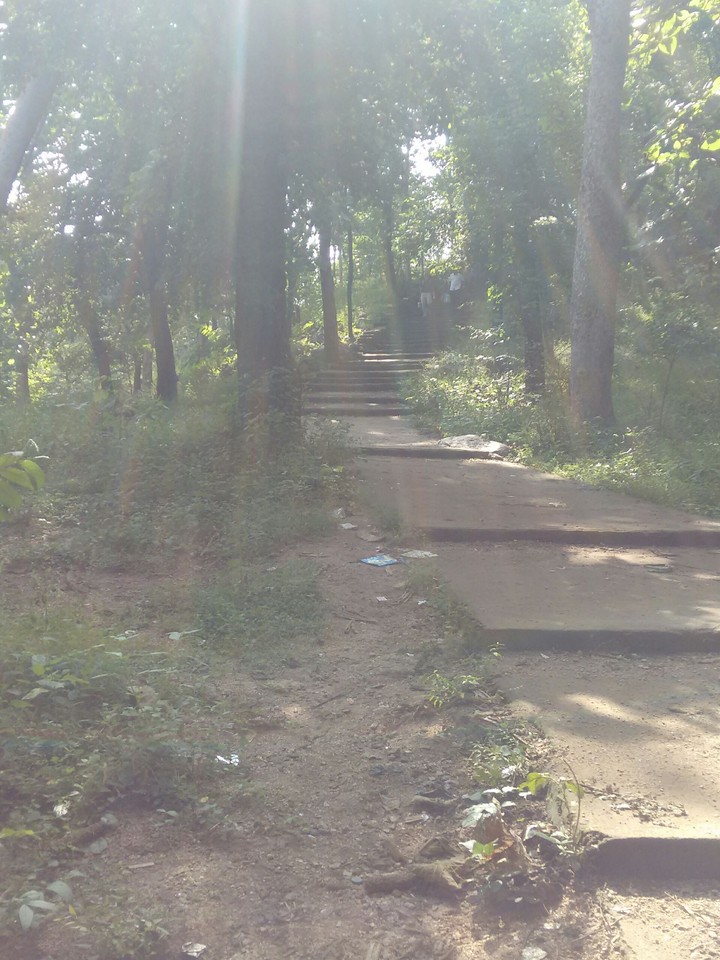 steps
