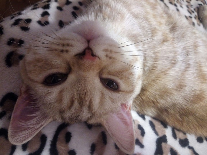 sleepy