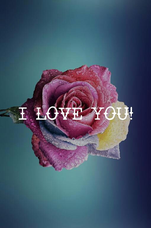 I love. ...