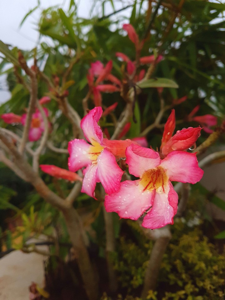 sanket photography