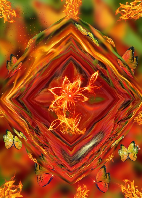 Feuerblume heiße Liebe......
