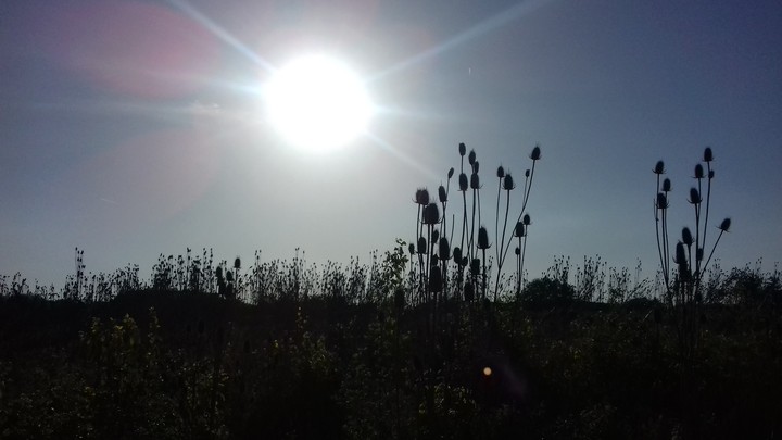 Prarie