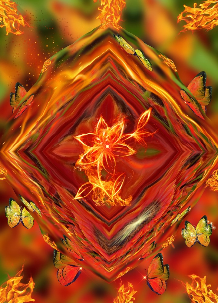 Feuerblume heiße Liebe......