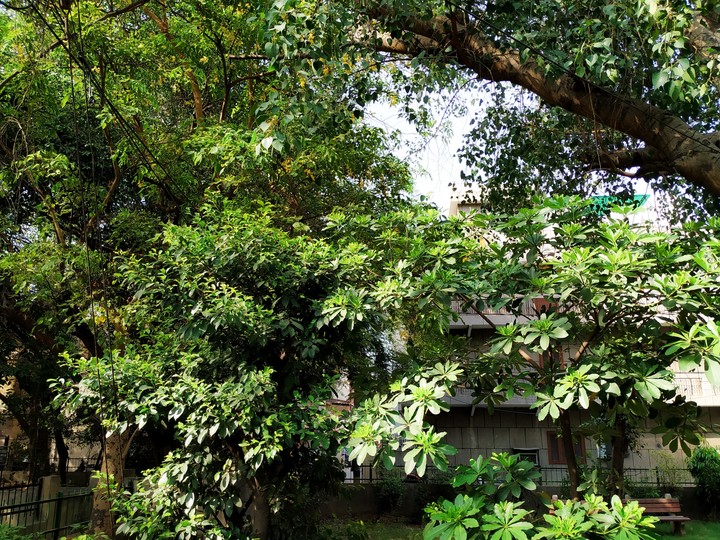 Nature