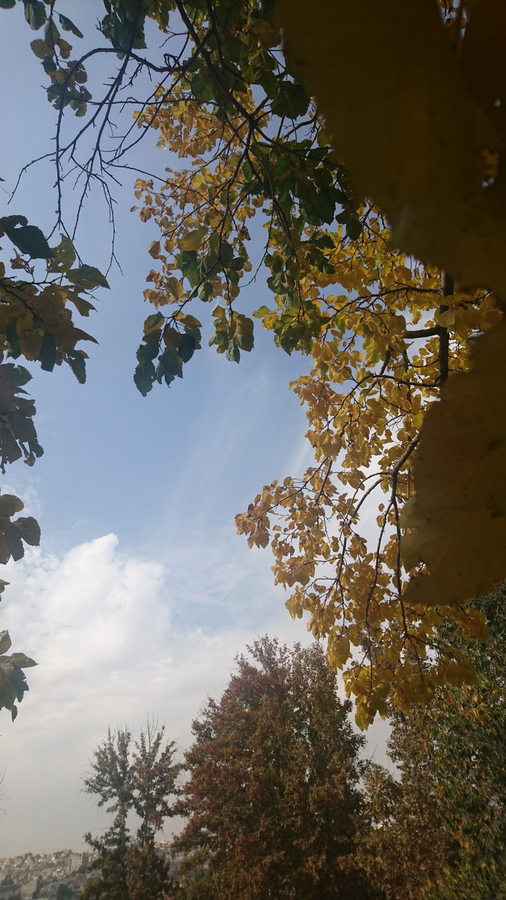 autumn