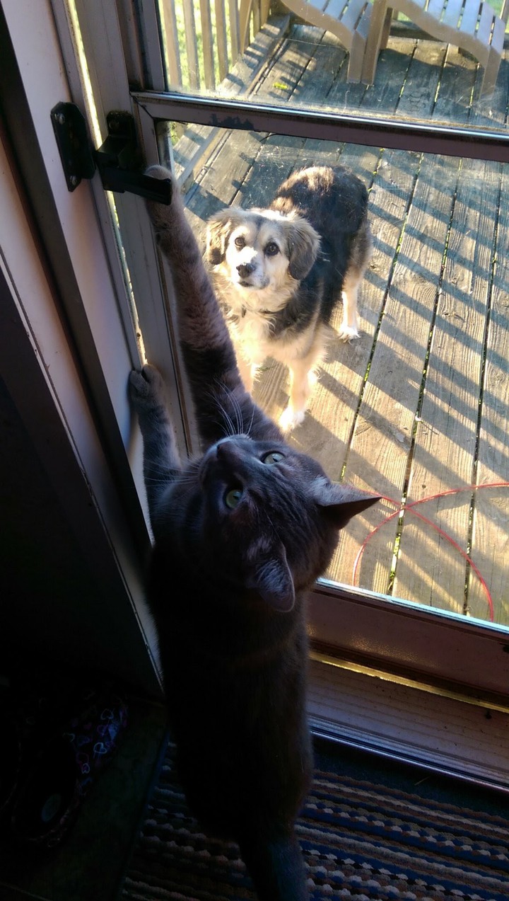 Best friends