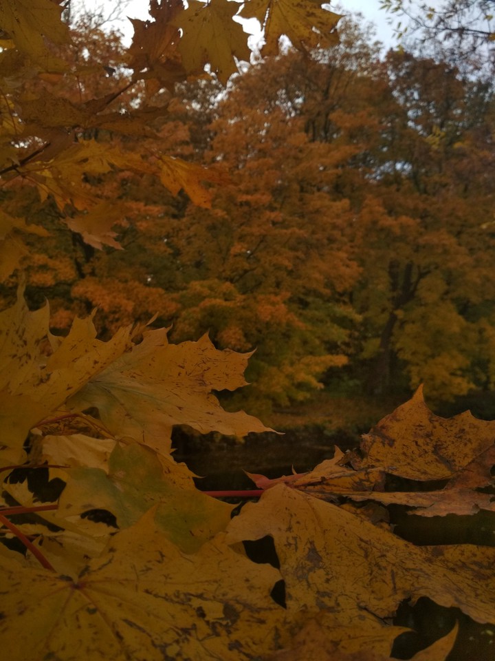 Russian autumn