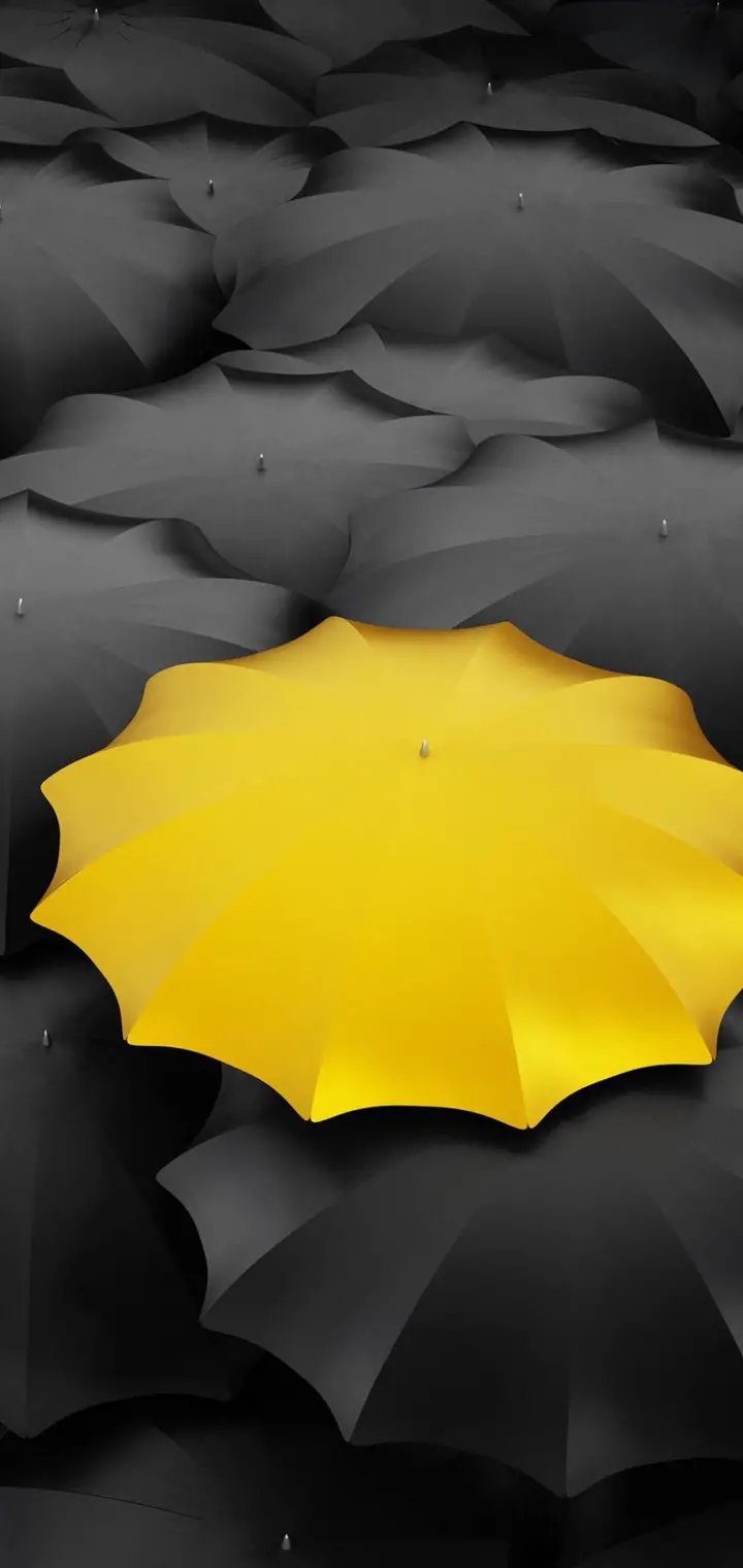umbrella
