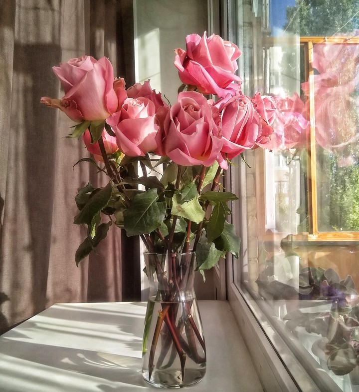 roses