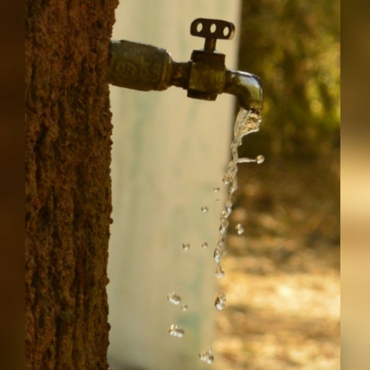 Thirsty Summer