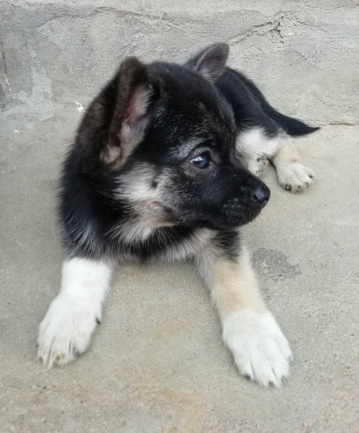 cutest pic of my tyson