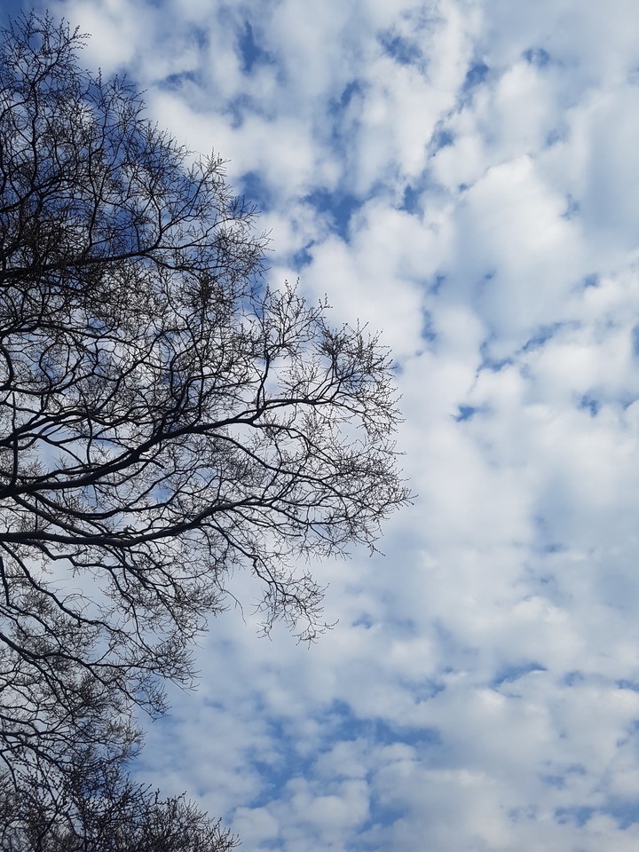 sky
