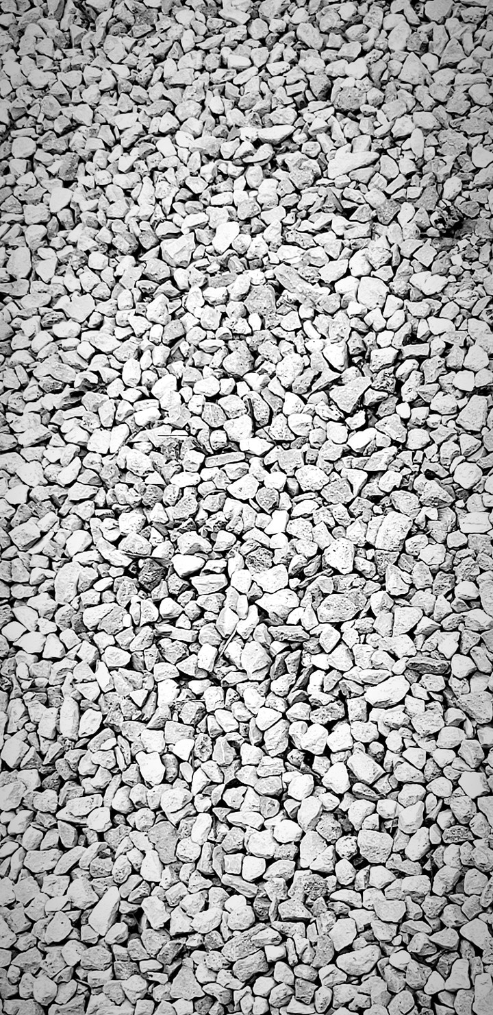 rocks