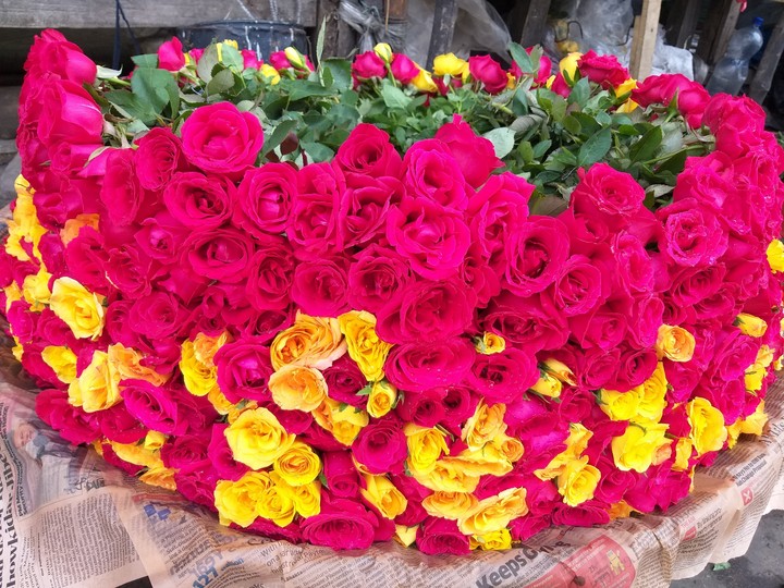 Roses