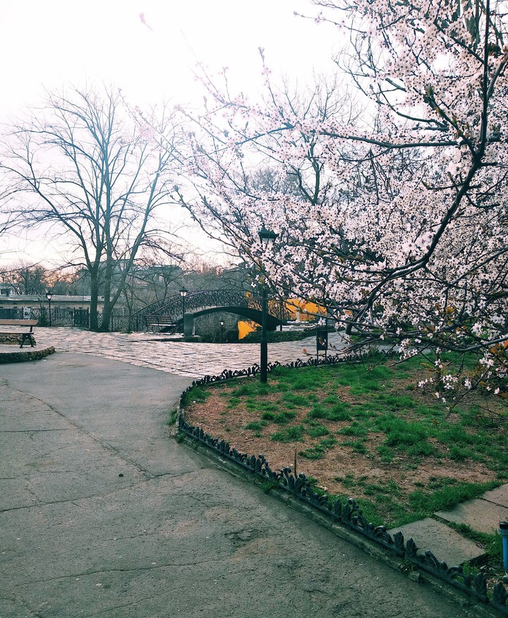 Gogol street Odessa