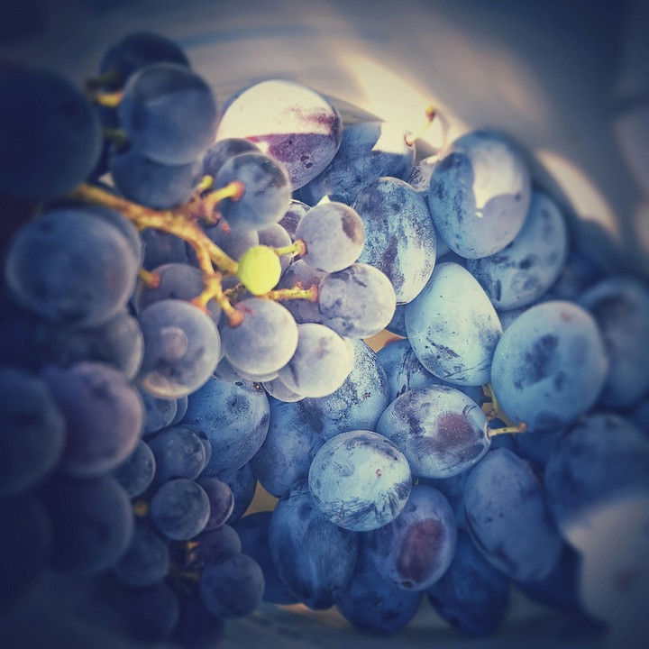 Autumn fruits