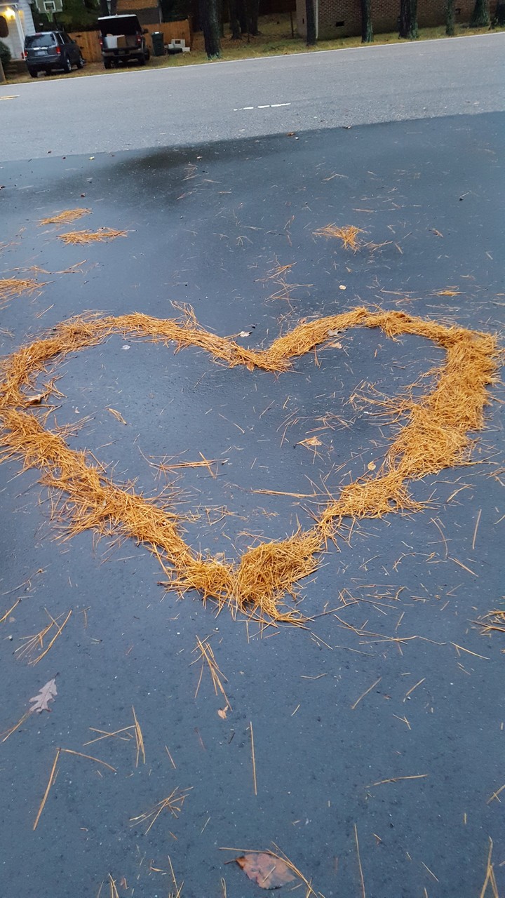 "fall" in love