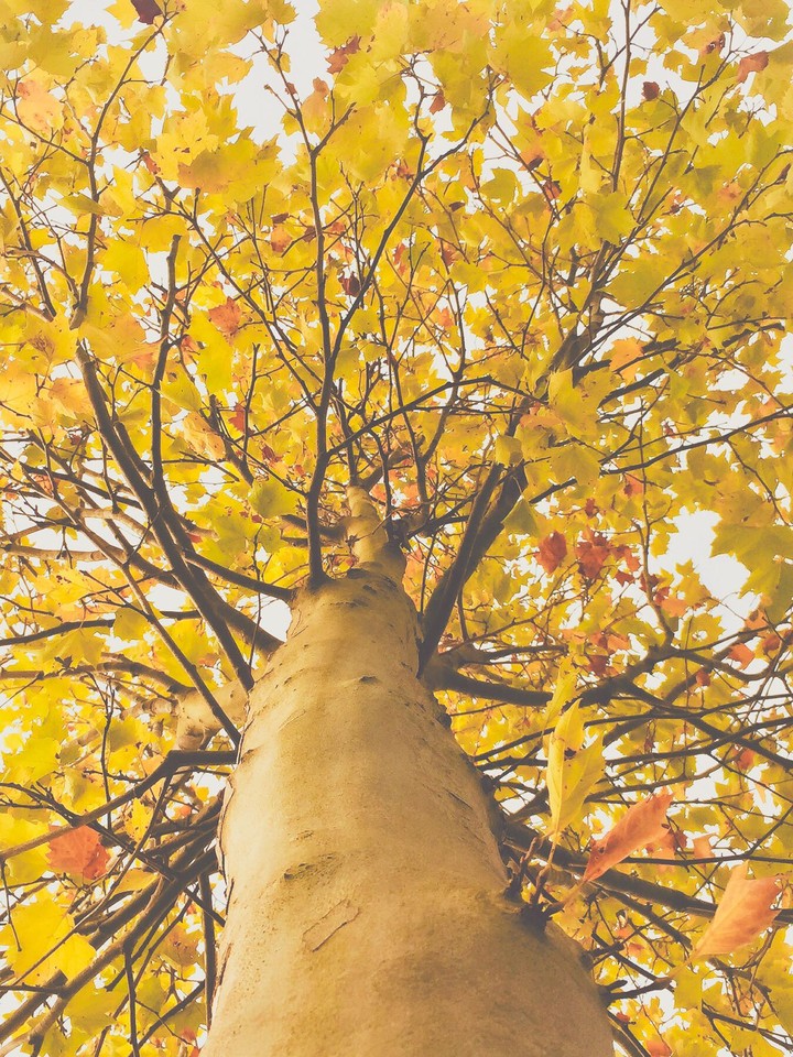 Autumn