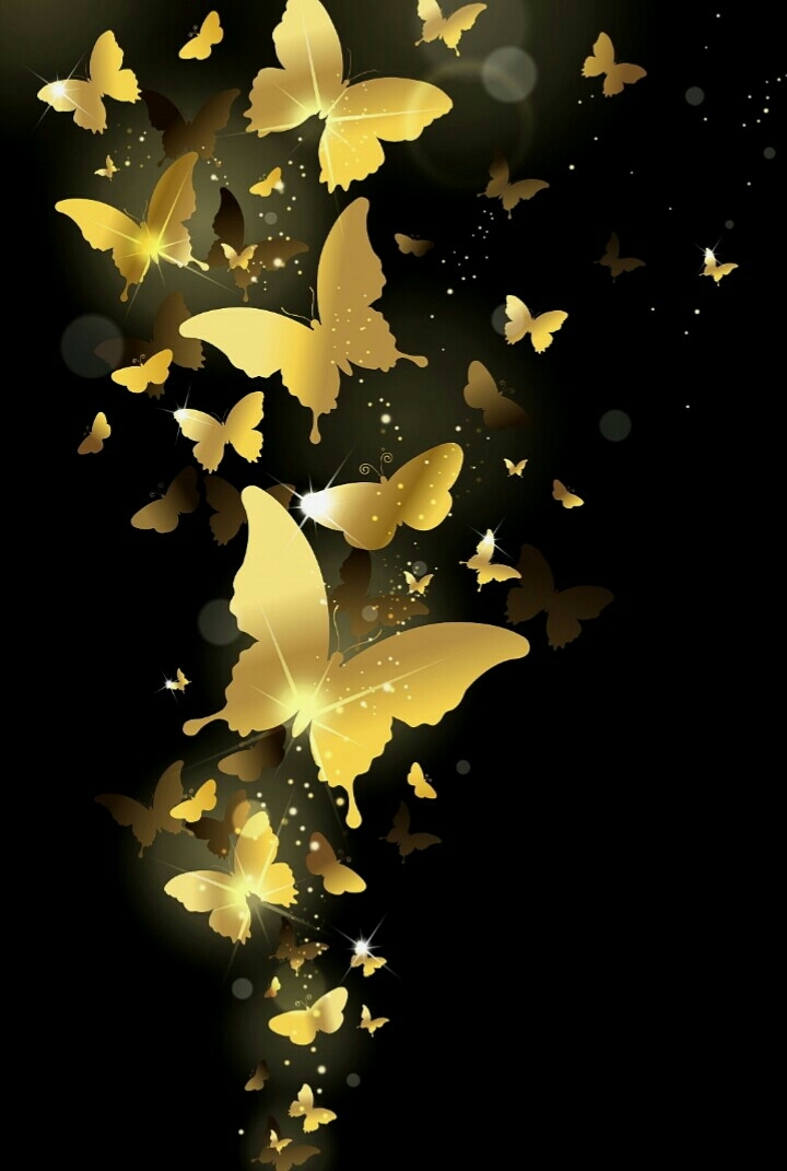 Flight in the Night /My creative work /