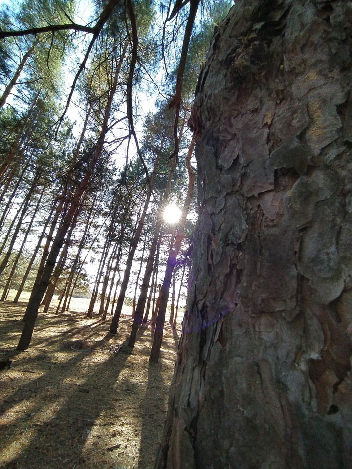 лето