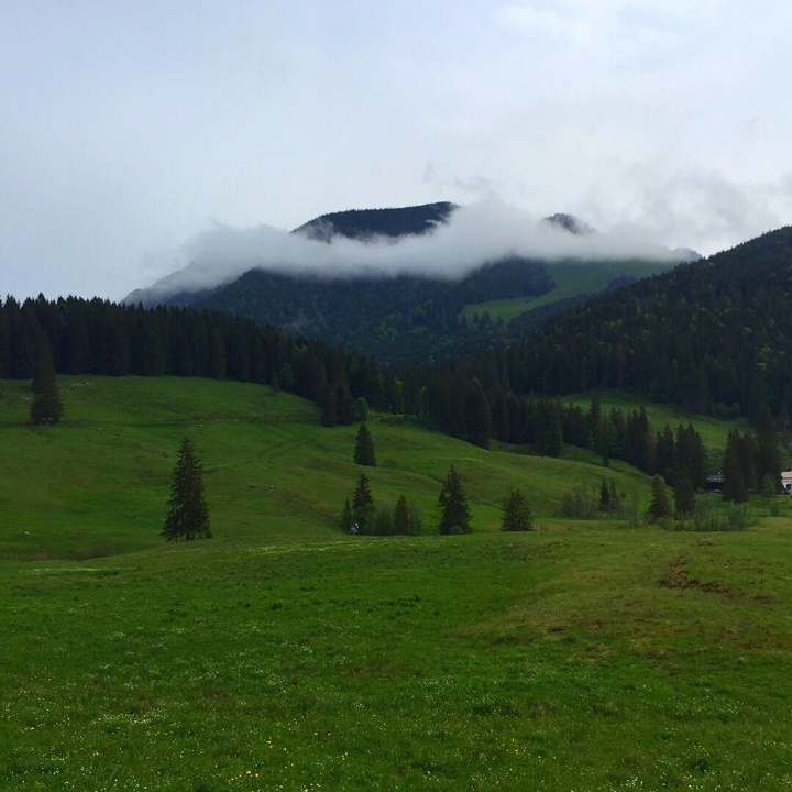 góry