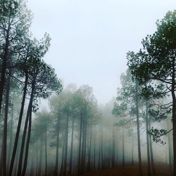 Beauty of Nature ✨