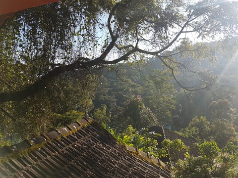 Nature