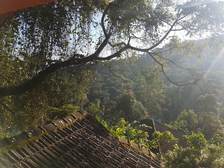 Nature