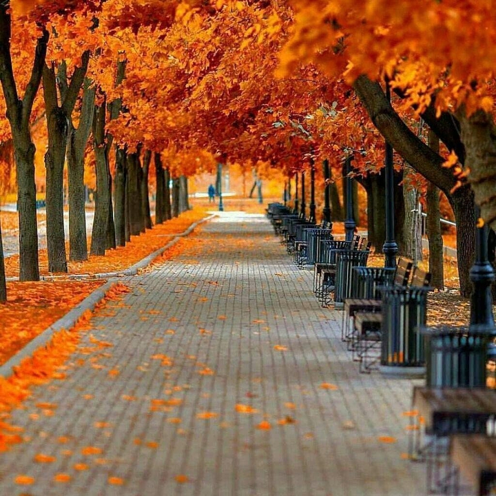 Fall