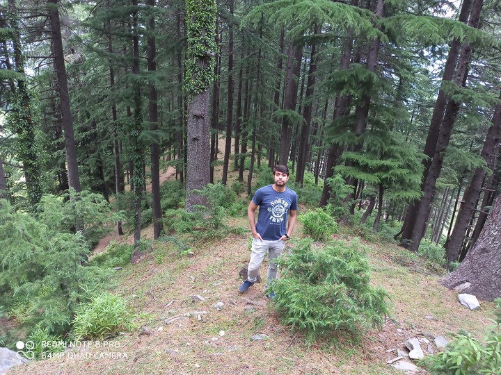 Into the woods ????????️☁️?️???