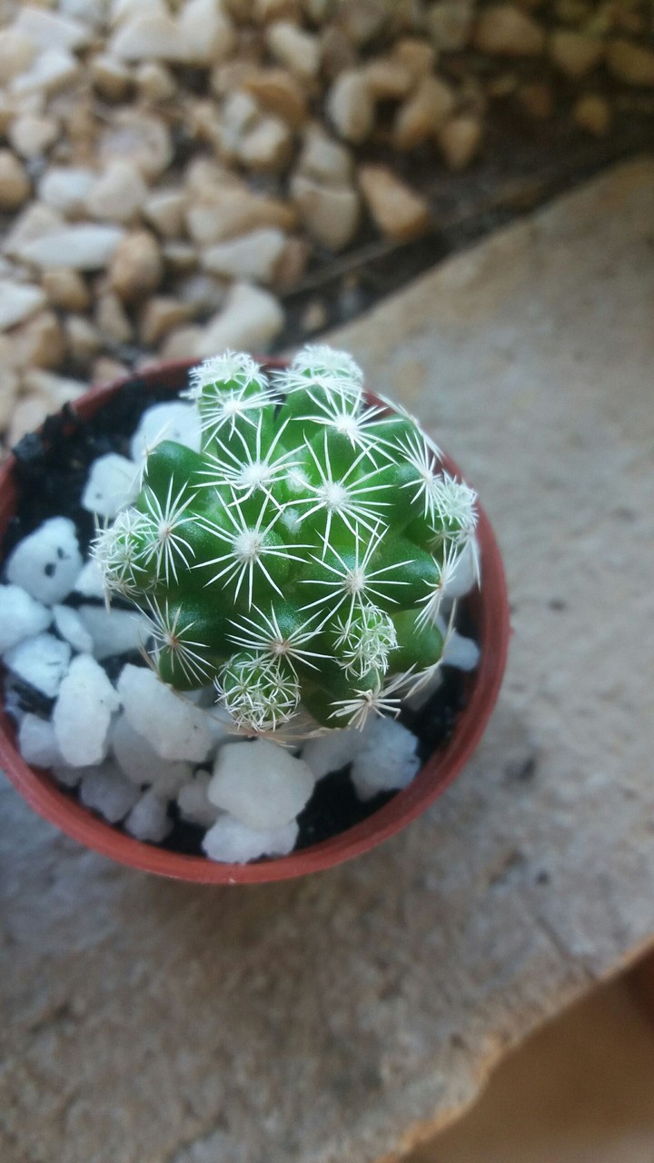Nature