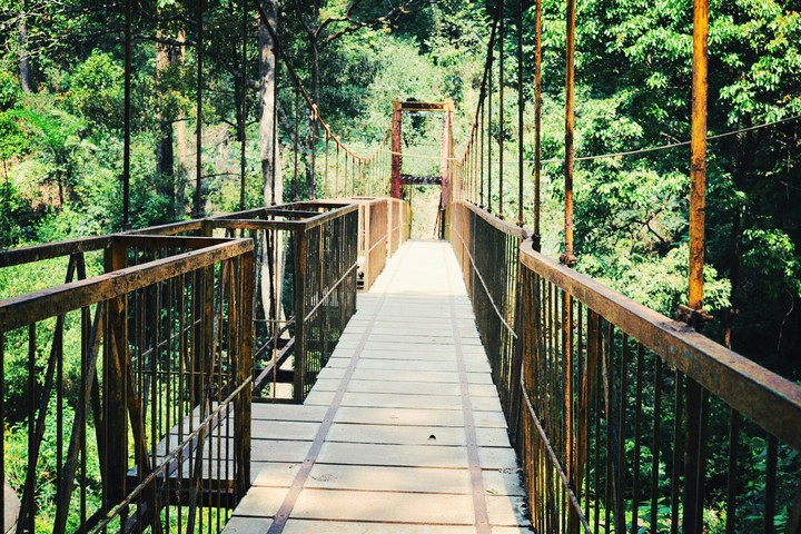 Path to Cannibals