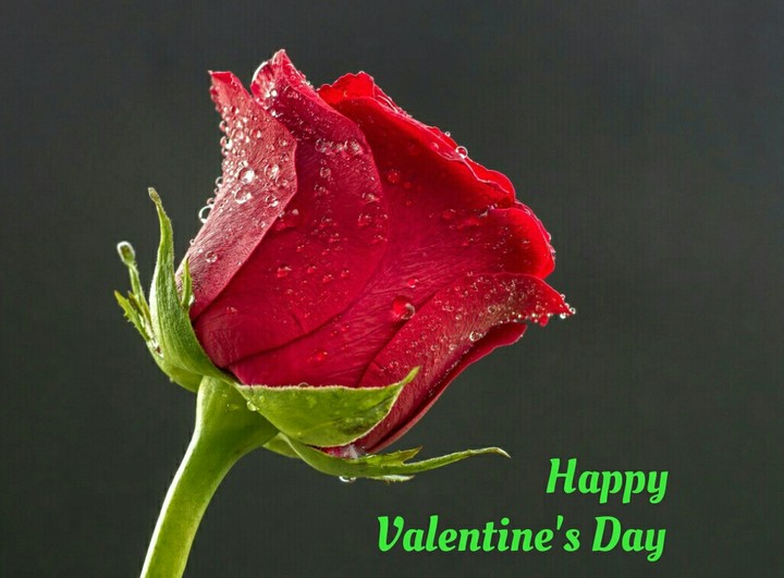 Happy valentine's day