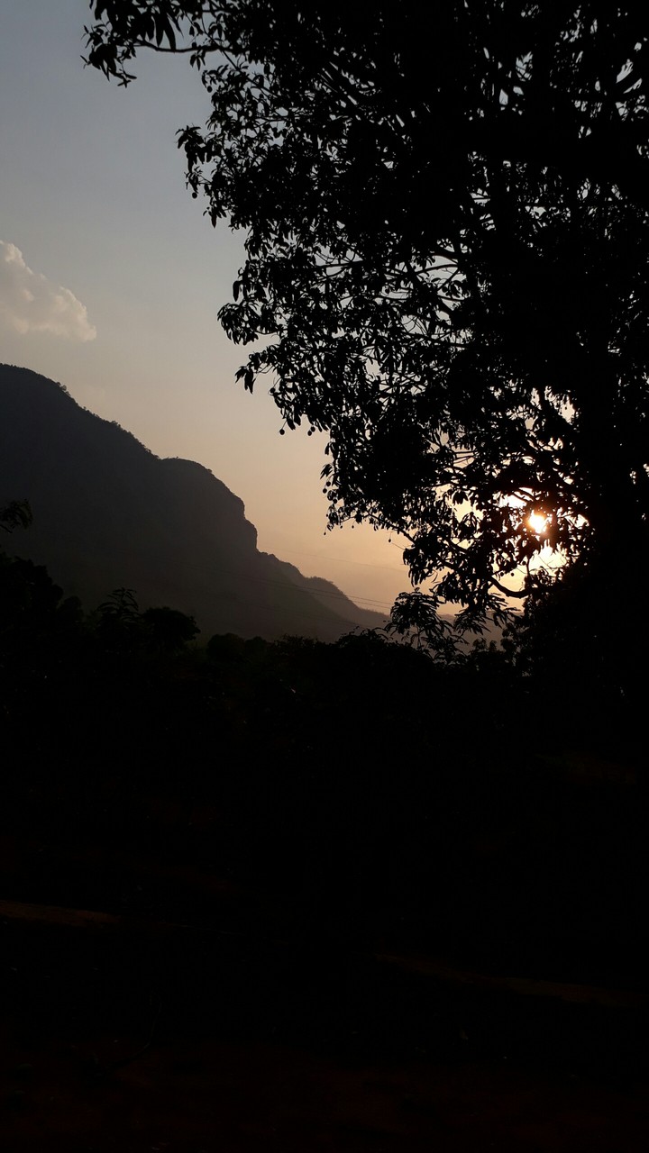 Naturalshot
