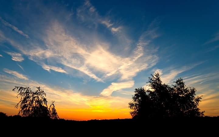 Fire in the Sky